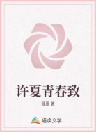 许夏青春致
