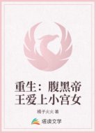 重生:腹黑帝王爱上小宫女