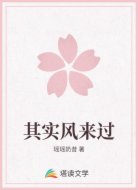 其实风来过
