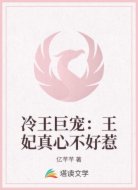 冷王巨宠：王妃真心不好惹