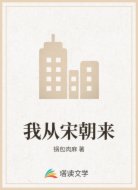 我从宋朝来