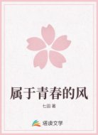 属于青春的风