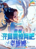 荣耀之开局震惊网吧老板娘