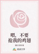 喂，不要抢我的鸡翅