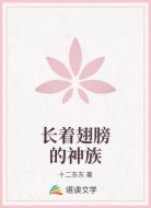 长着翅膀的神族