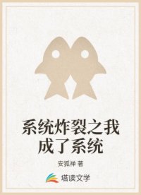 书名