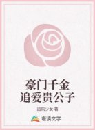 豪门千金追爱贵公子
