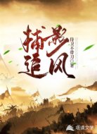 捕影追风