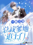 一胎三宝:总裁爹地追上门