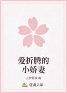 爱折腾的小娇妻
