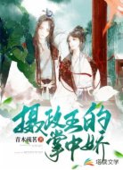 摄政王，你的心尖尖又跑了