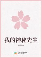 我的神秘先生