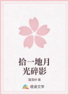 拾一地月光碎影