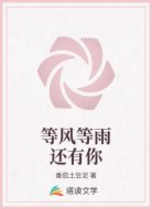 等风等雨还有你