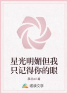 星光明媚但我只记得你的眼