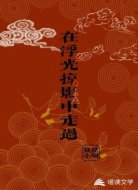 在浮光掠影中走过
