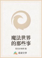 魔法世界的那些事