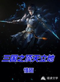 三国之顶天立地