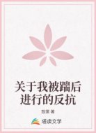 关于我被踹后进行的反抗