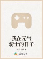 我在元气骑士的日子