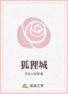 狐狸城