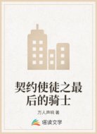 契约使徒之最后的骑士