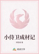 小侍卫成材记