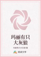 玛丽有只大灰狼