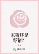 家猪还是野猪？