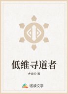 低维寻道者