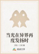当光在异界再度发扬时