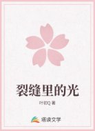 裂缝里的光