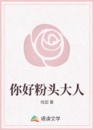你好粉头大人