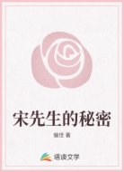宋先生的秘密