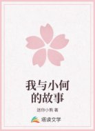 我与小何的故事