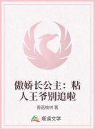 傲娇长公主:粘人王爷别追啦