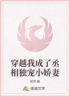 穿越我成了丞相独宠小娇妻
