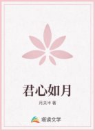 君心如月