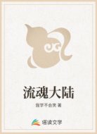 流魂大陆