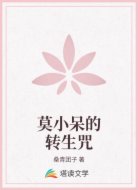 莫小呆的转生咒
