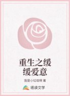 重生之缓缓爱意