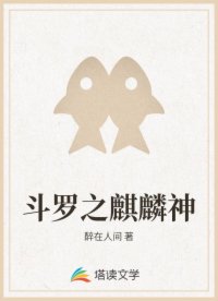 书名