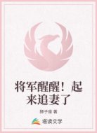 将军醒醒!起来追妻了