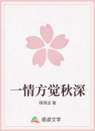 一情方觉秋深