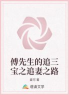 傅先生的追三宝之追妻之路