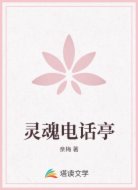 灵魂电话亭