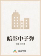 暗影中子弹