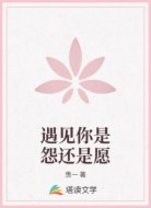 遇见你是怨还是愿
