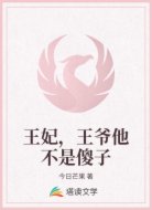 王妃,王爷他不是傻子
