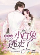 重生后,陌总的小白兔逃走了